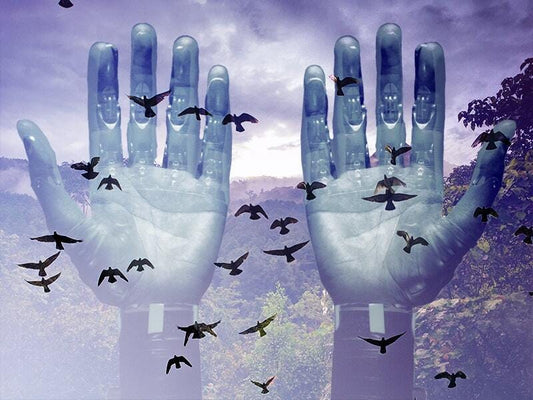 Technology’s Growing Role in Wildlife Conservation - GroupGets