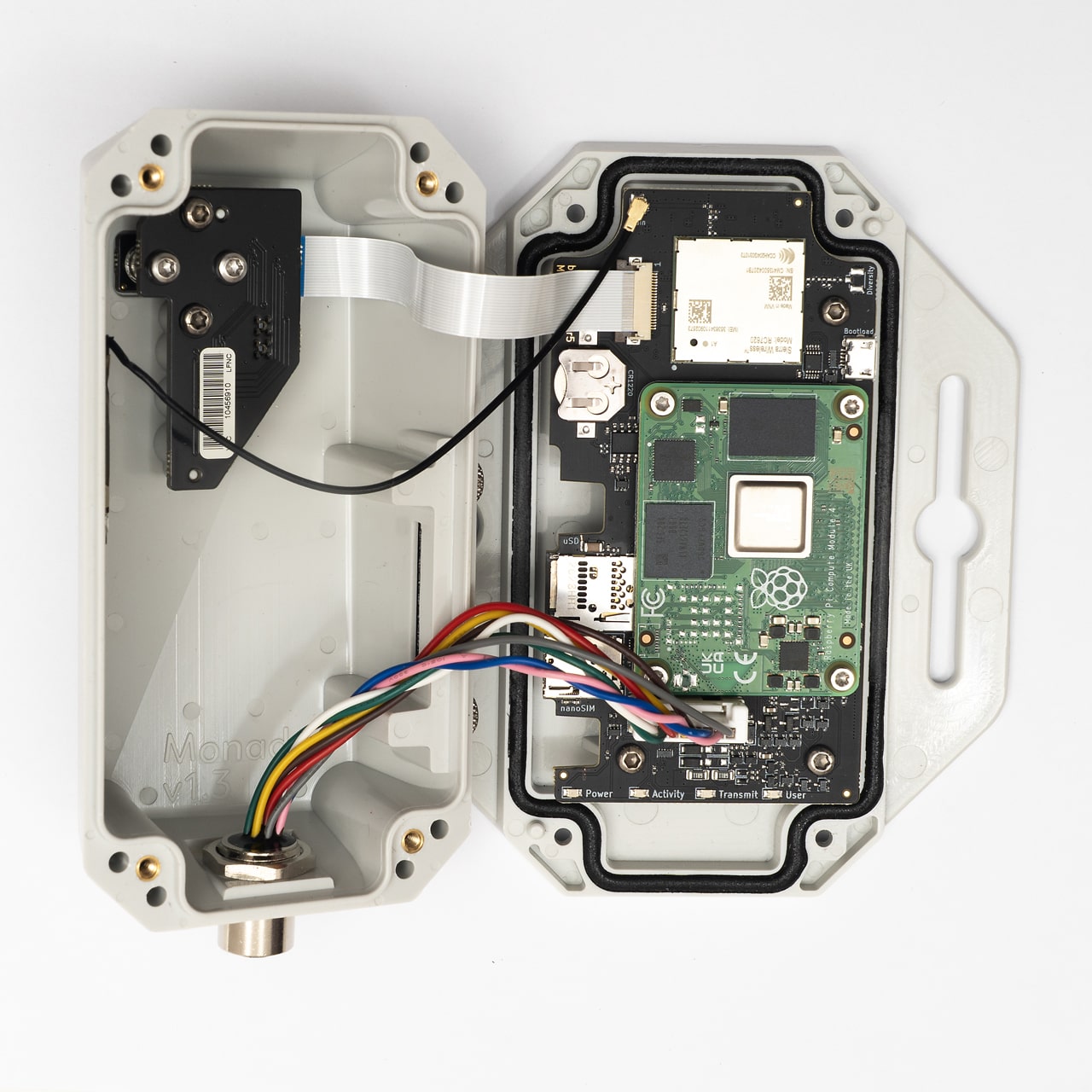 Bugg v4 - Pre-Order