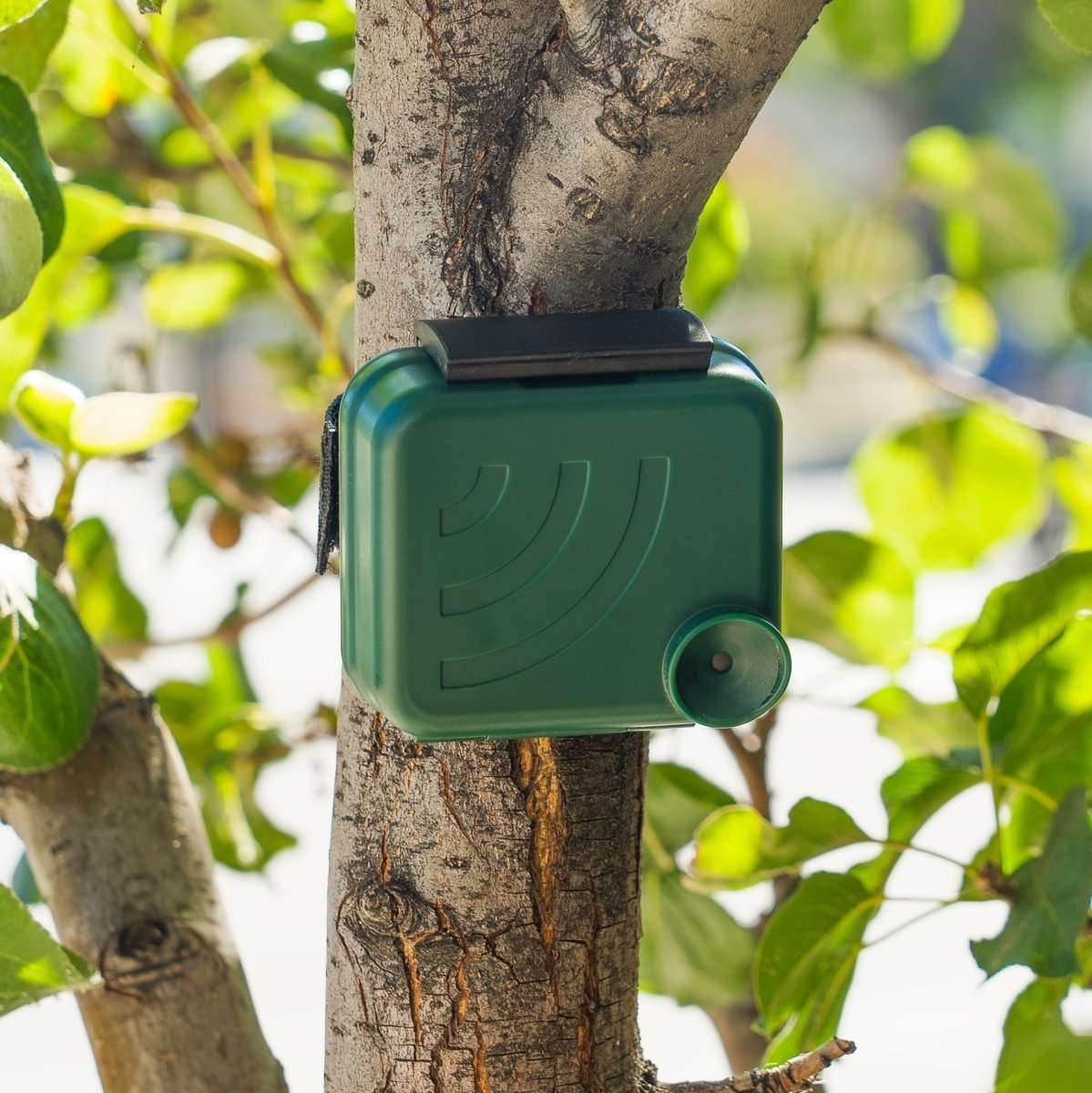 AudioMoth IPX7 Waterproof Case (Green) - GroupGets