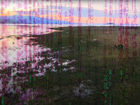 AI’s Growing Role in Conservation and Conservation Technologies - GroupGets