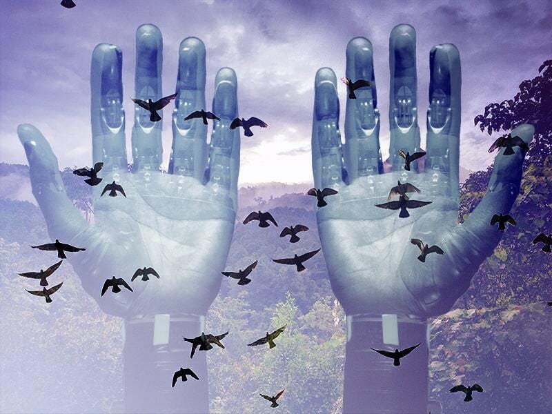 Technology’s Growing Role in Wildlife Conservation - GroupGets