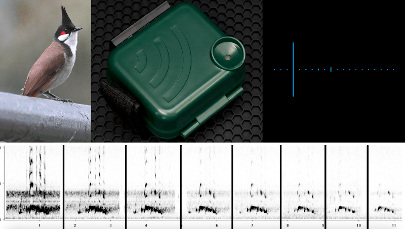 AudioMoth Underwater Case vs. Waterproof Case