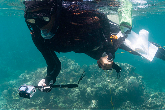 Featured Product in the Wild: Using the AudioMoth to Study the Effects of Fishing on Coral Reefs