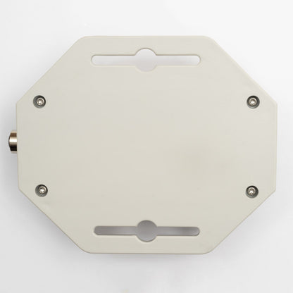 Bugg v4 - Pre-Order