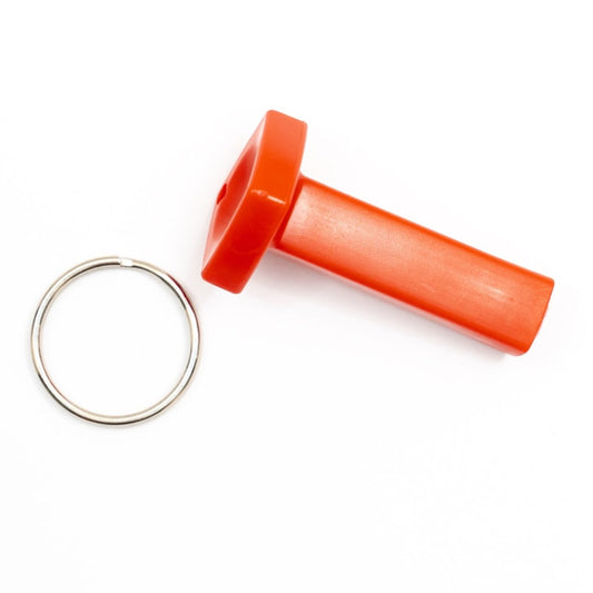 Hydromoth Magnetic Key Fob - GroupGets